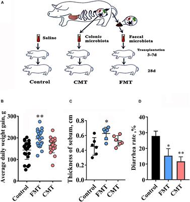 Introduction of Colonic and Fecal Microbiota From an Adult Pig Differently Affects the Growth, Gut Health, Intestinal Microbiota and Blood Metabolome of Newborn Piglets